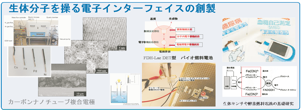 研究紹介 佐賀大学理工学部化学部門 冨永研究室 研究紹介 佐賀大学理工学部化学部門 冨永研究室